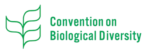 _36179C77-B190-47C5-998D-ED3EC5CF8F29_-removebg-preview