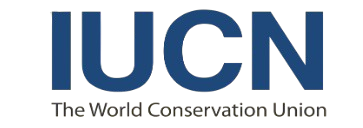 image-removebg-preview (5)